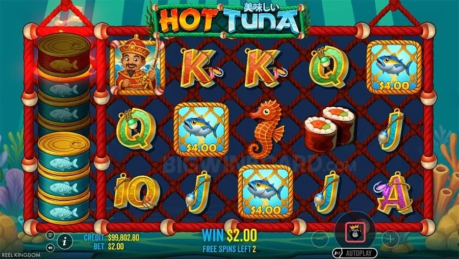 juan 365 Understanding Roulette Odds